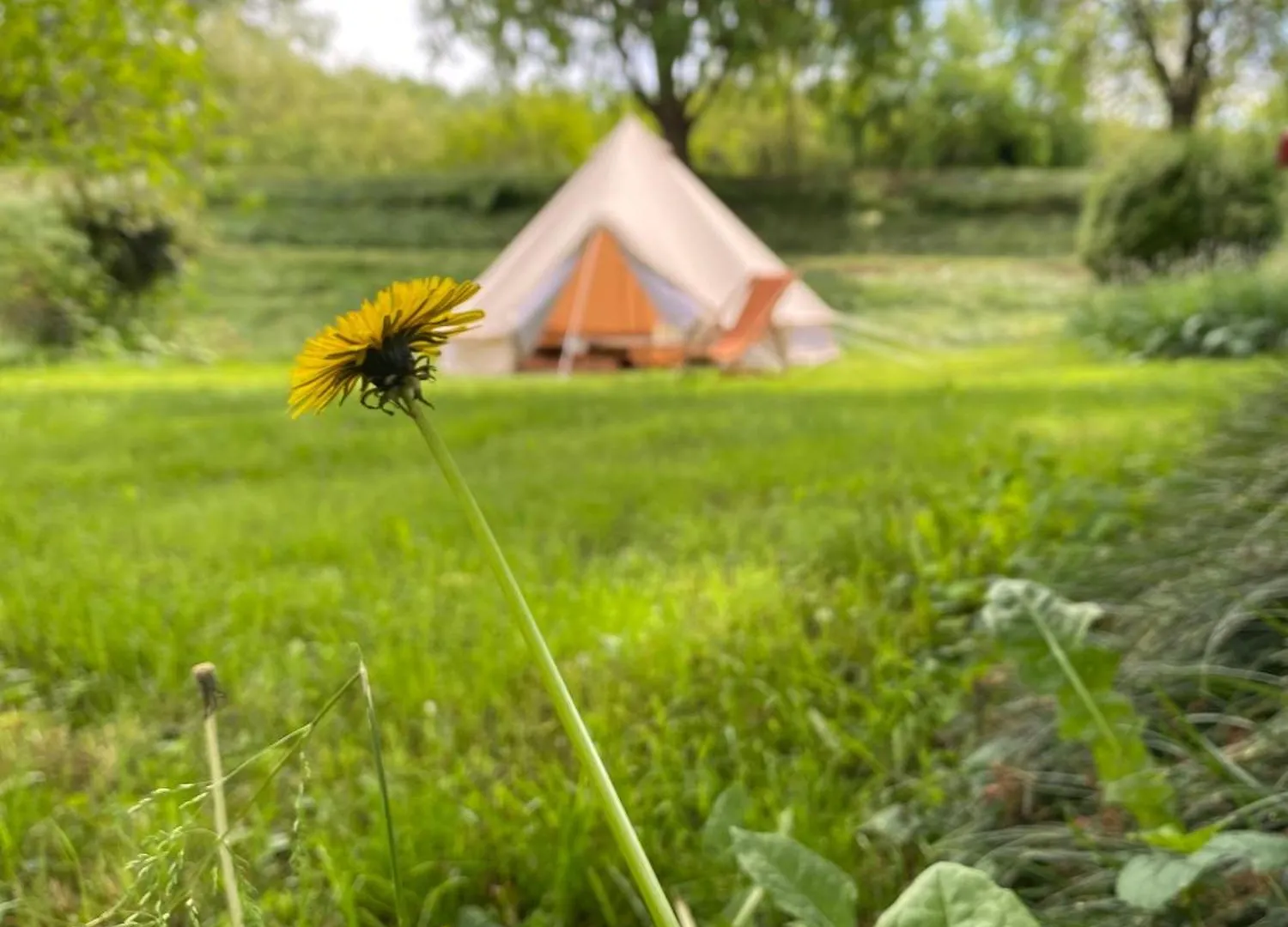 Tenda Glamping Medaglie D'Oro Casone Sanguinetto 0*,  Italy